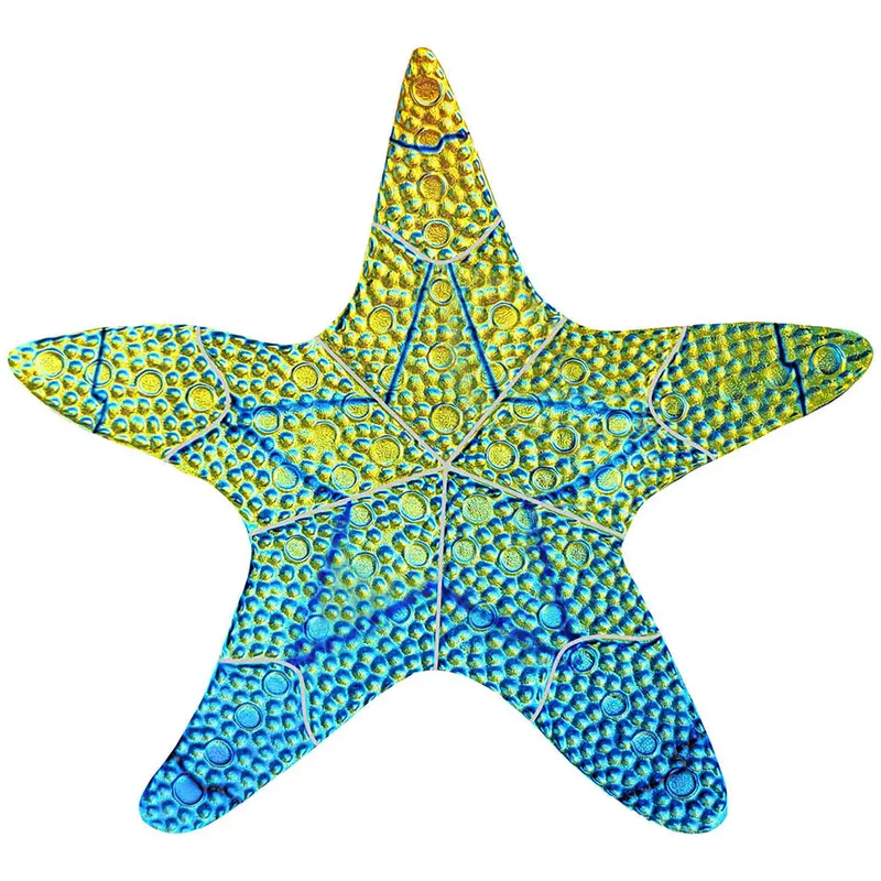 10-Inch Rainbow Starfish Pool Mosaic Tile