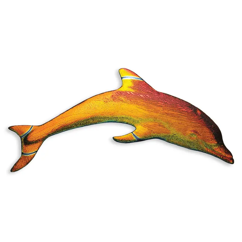 6-Inch Rainbow Dolphin Pool Step Marker Tile