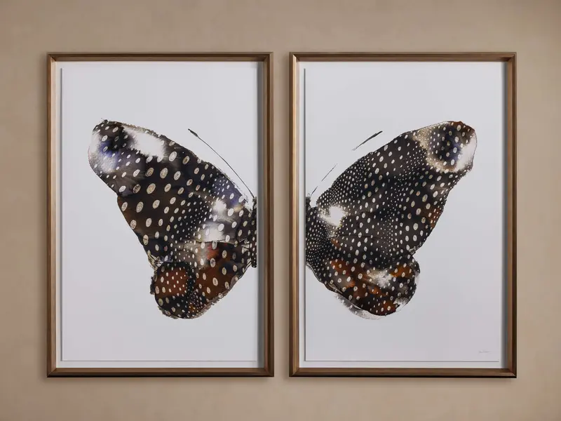 Aile Dual-Framed Art Print Set (2-Piece)