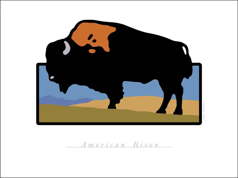 American Bison Wildlife Digital Studio Art Print