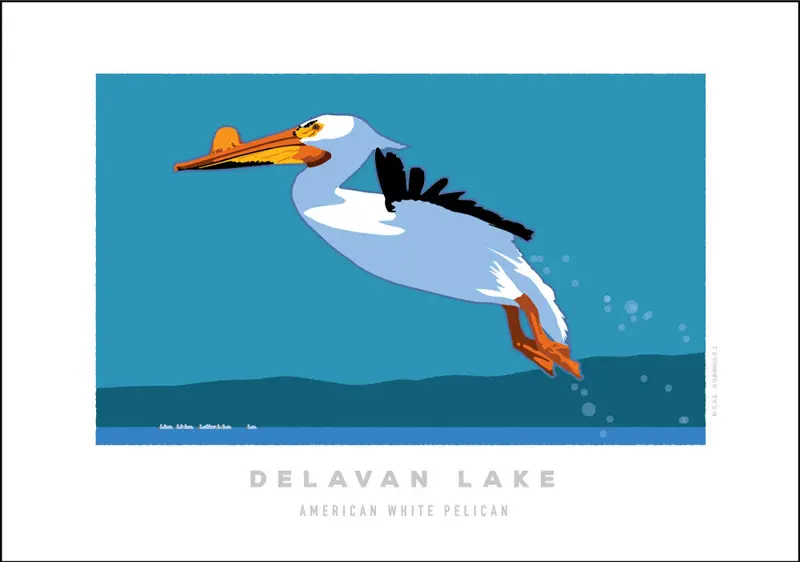 American White Pelican at Delavan Lake Wildlife Digital Print