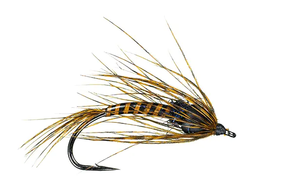Anderson’s Chupacabra – Tactical Fly Pattern for Predatory Species