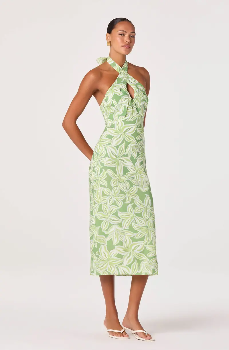 Anita Halter Dress with Keyhole Back Detail