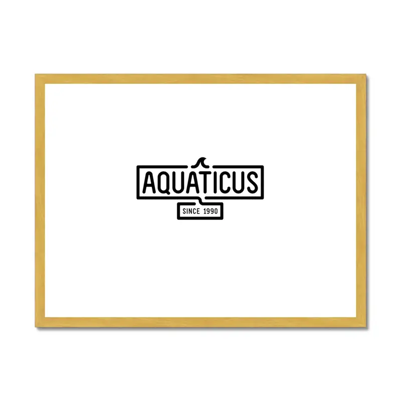 Aquaticus Antique-Framed Print – AQUA Collection No. 01