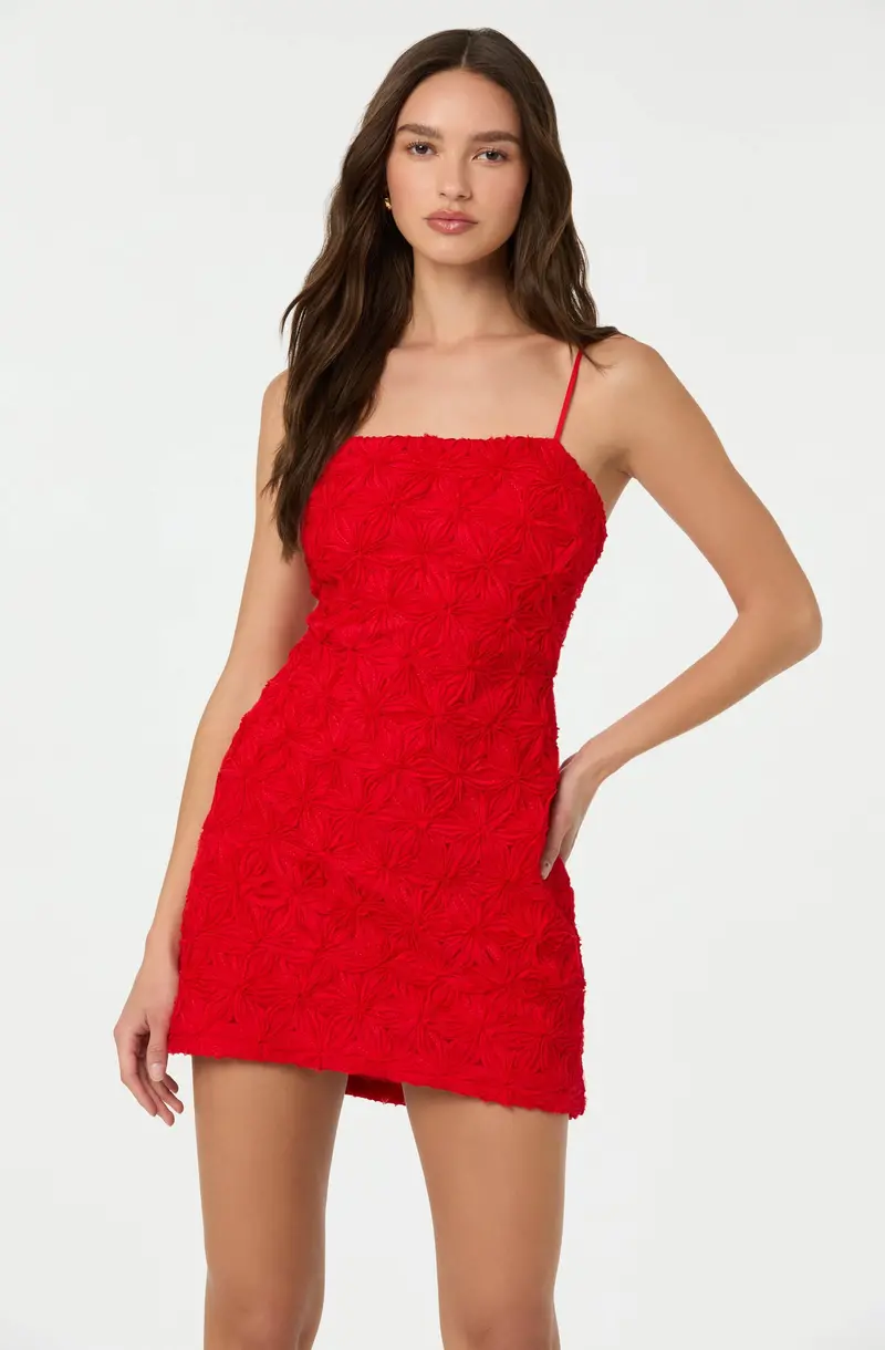 Artistic 3D Floral-Embellished Mini Dress