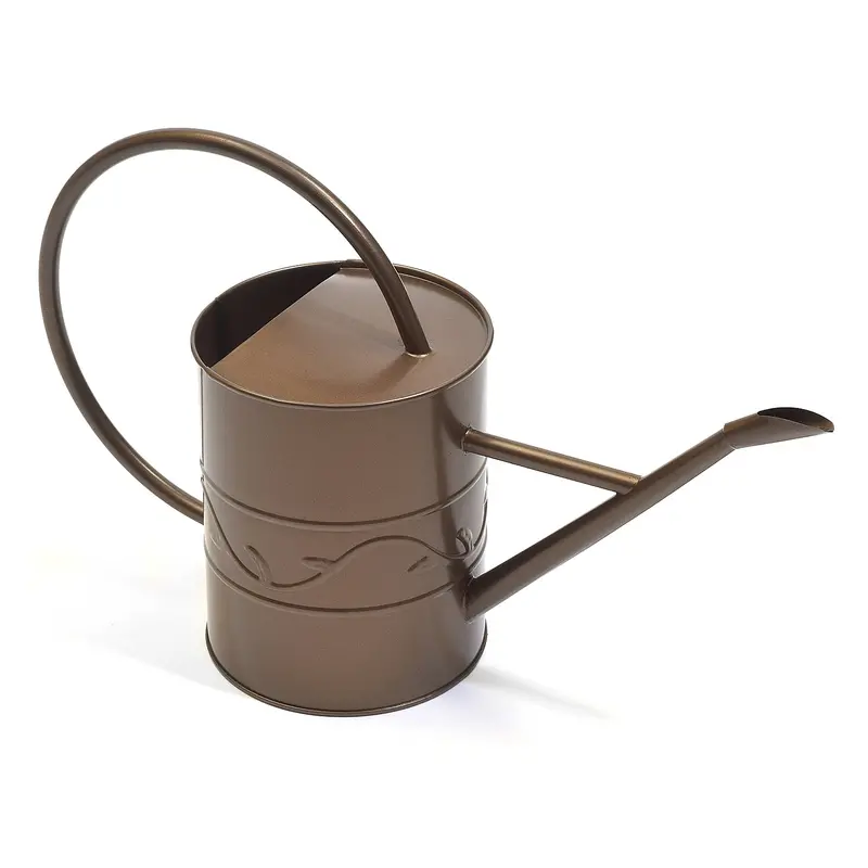 Ashman 2-Liter Bronze Indoor/Outdoor Watering Can – Durable Metal Design, Pack of 100