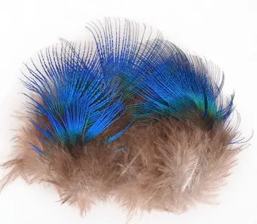 Blue Peacock Eye Feathers – Natural Plumes