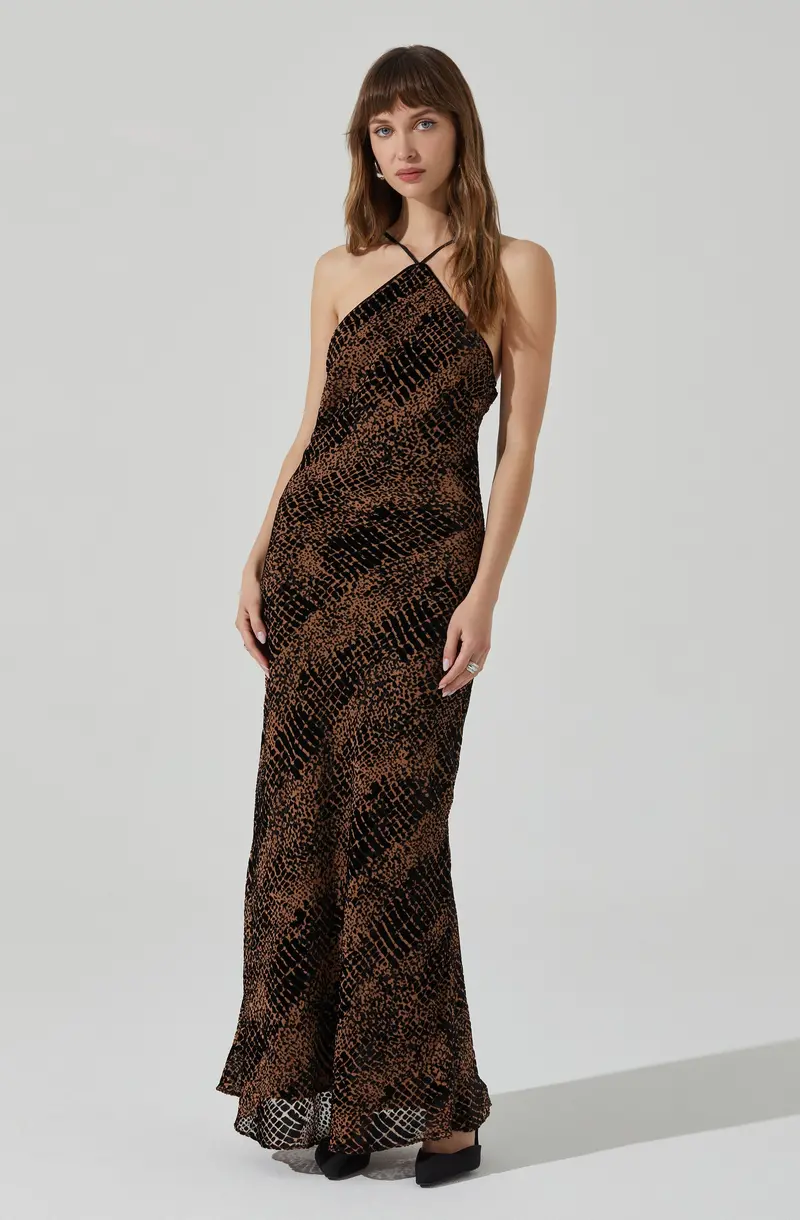Briotte Burnout Velvet Maxi Dress