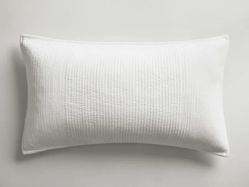Daria Luxe Velvet Pillow Sham