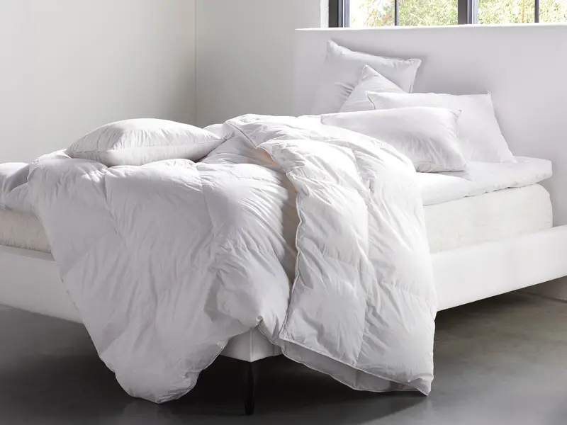 Down-Alternative Pillow Insert – Hypoallergenic & Machine Washable