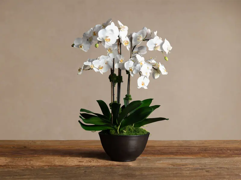 Faux White Orchid Arrangement in Bronze Terracotta Bowl