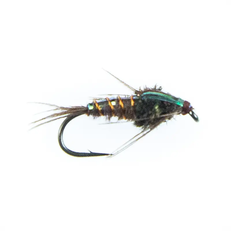 Flashback Pheasant Tail Nymph