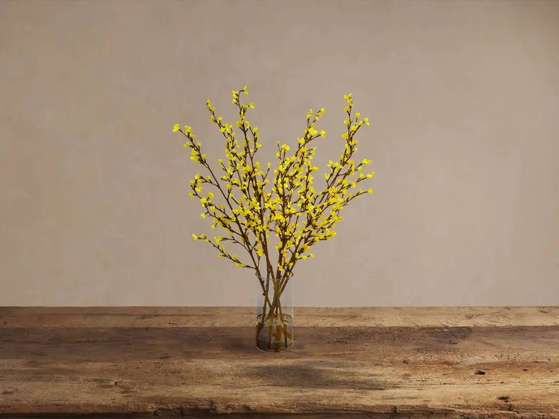 Forsythia Branch Reproduction in Transparent Glass Vase