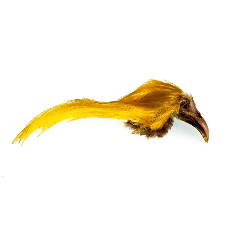 Golden Pheasant Crest Feather – Premium Fly-Tying Material