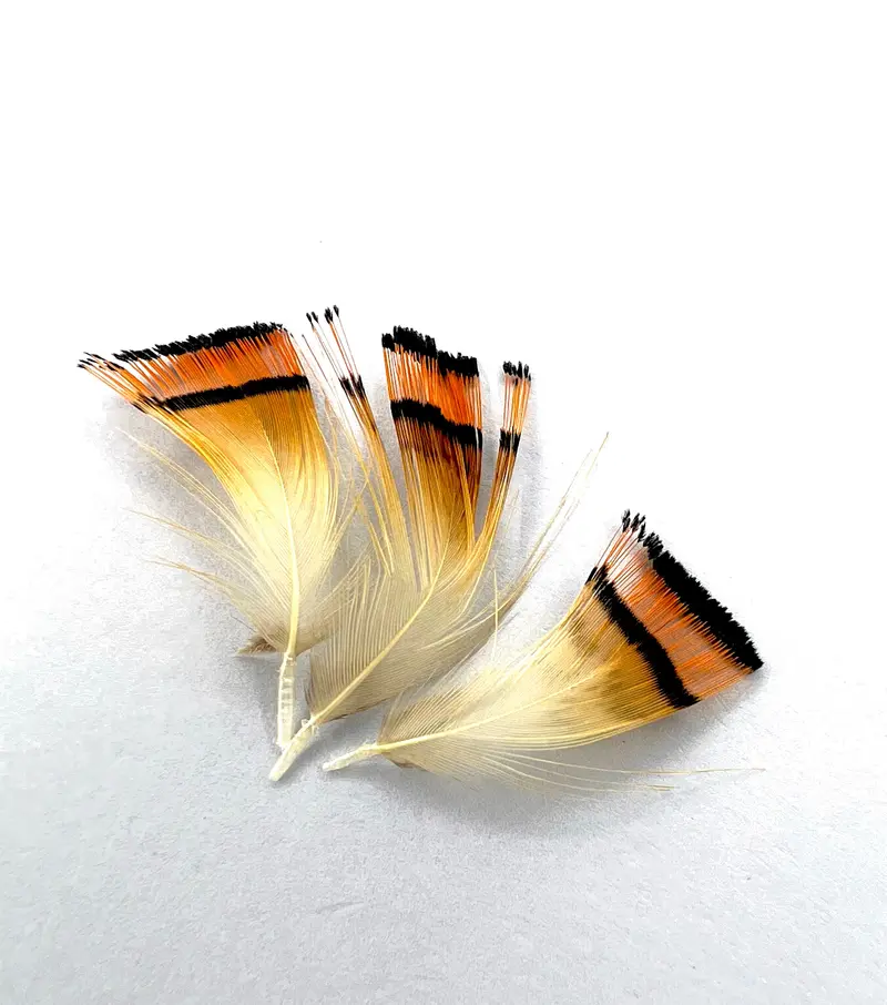 Golden Pheasant Tippet Material – Natural Feather Fibers