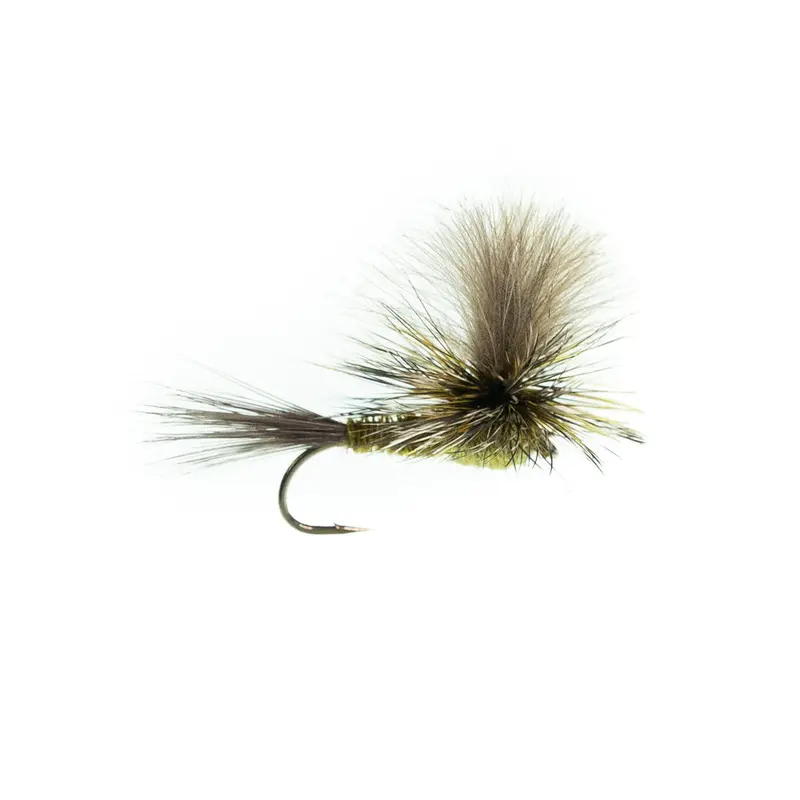 Green Drake Parachute Dry Fly – Large Mayfly Pattern for Spring Hatches