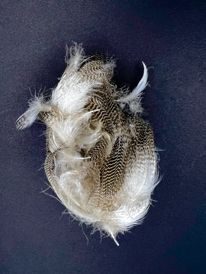 Hareline Gadwall Duck Feathers – Natural Soft Hackle Material for Fly Tying