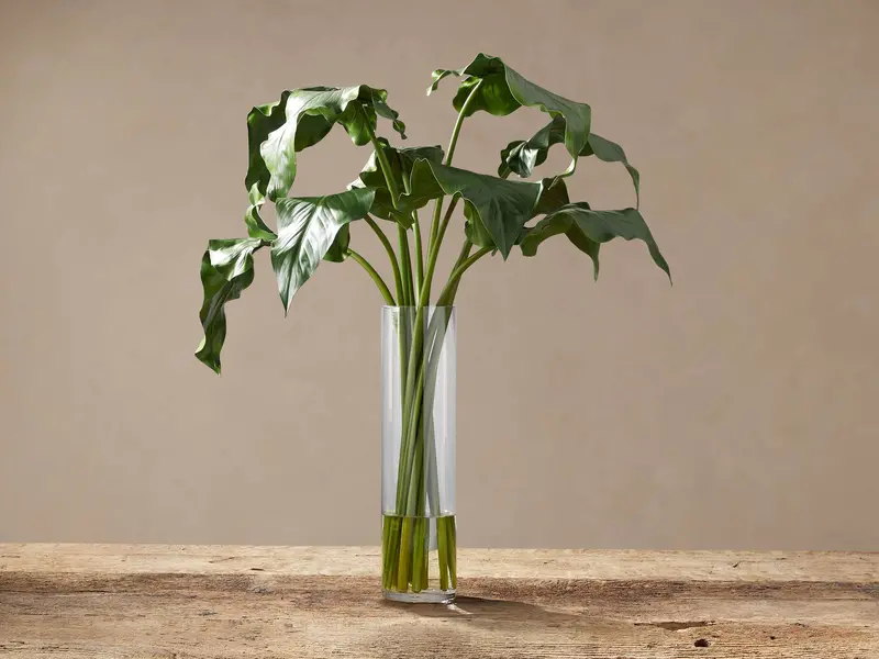Lifelike Calla Leaf Branch in Oversized Decorative Vase