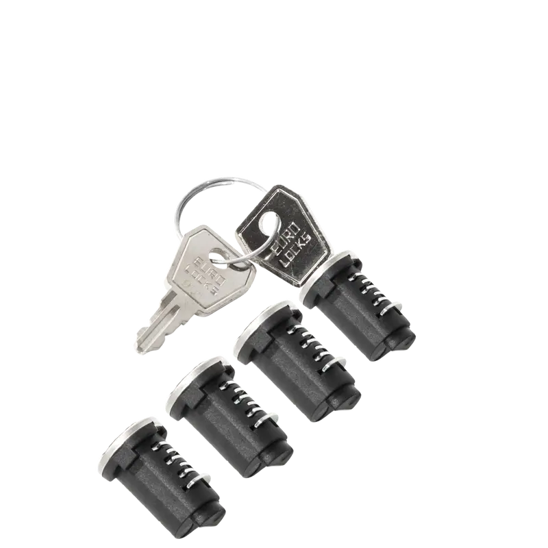Lock Set: 4 Locks + 2 Keys – Model 083010