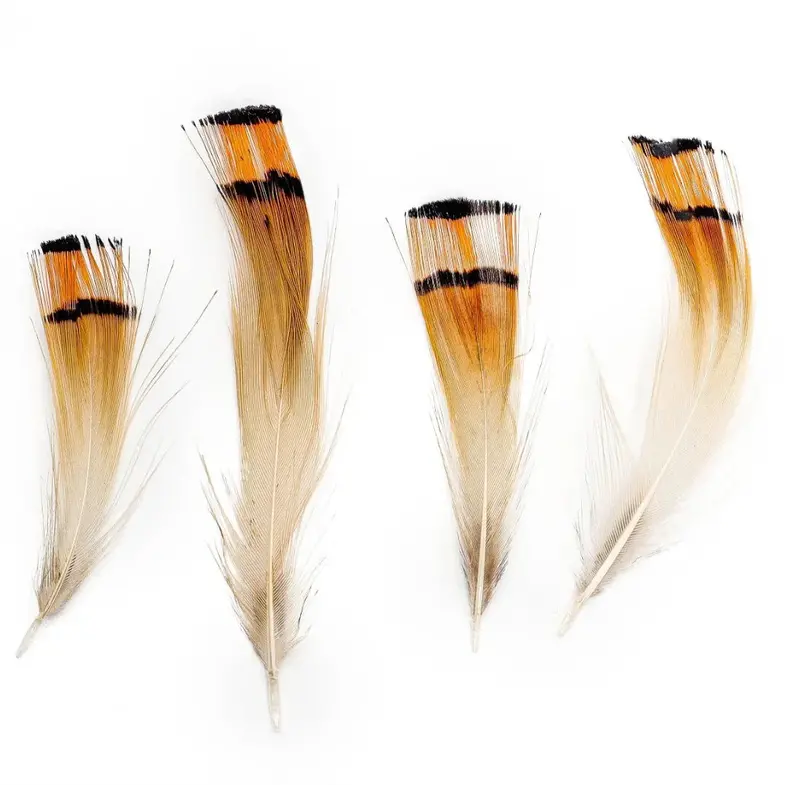 Marabou Brothers Golden Pheasant Feather Bundle