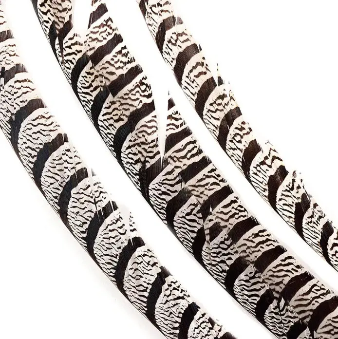 Marabou Brothers Lady Amherst Pheasant Tail Feathers