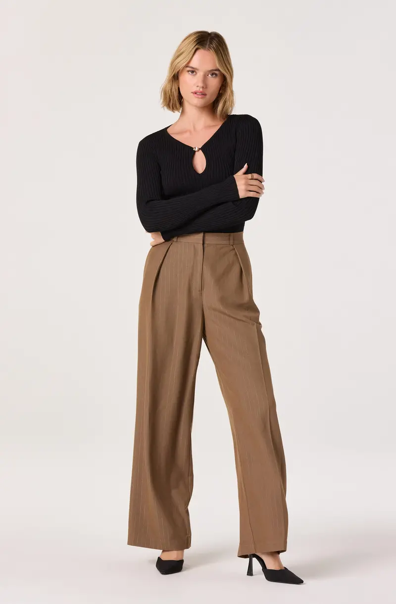 Metallic Pinstripe Pleated Dress Pants