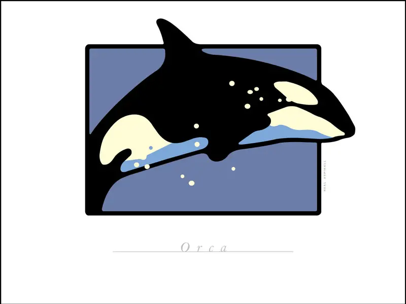 Orca Wildlife Digital Studio Art Print
