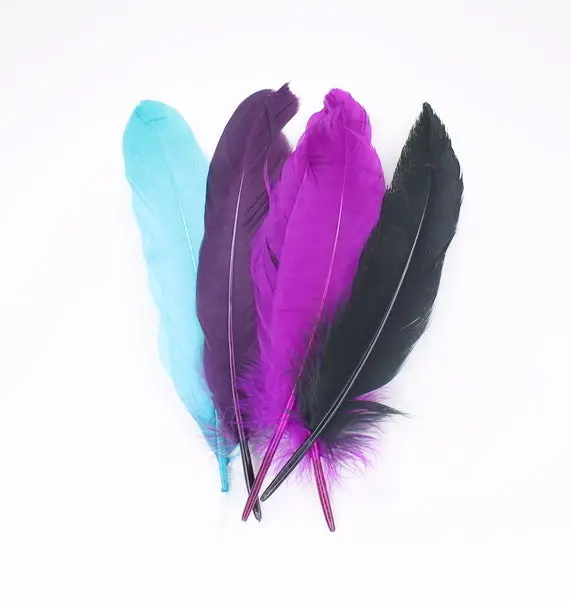 Premium Goose Shoulder Feather Selection – New Arrival
