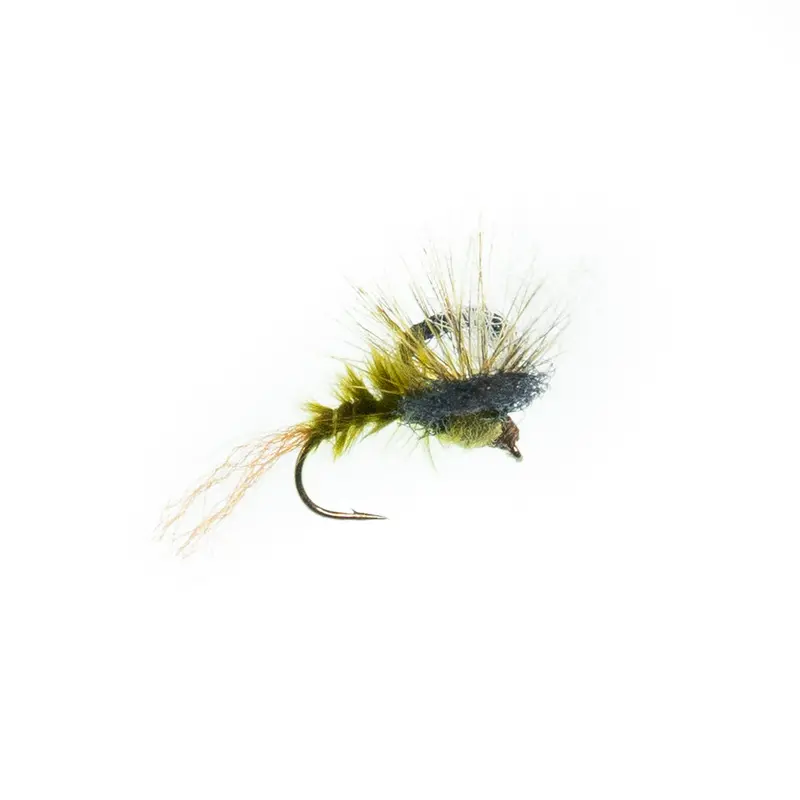 Quigley Loopy Cripple Emerger