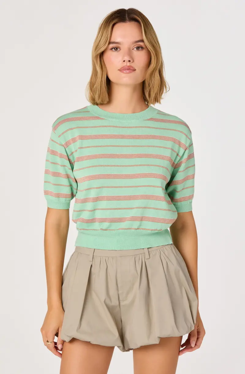Striped Knit Crewneck Sweater – Colette