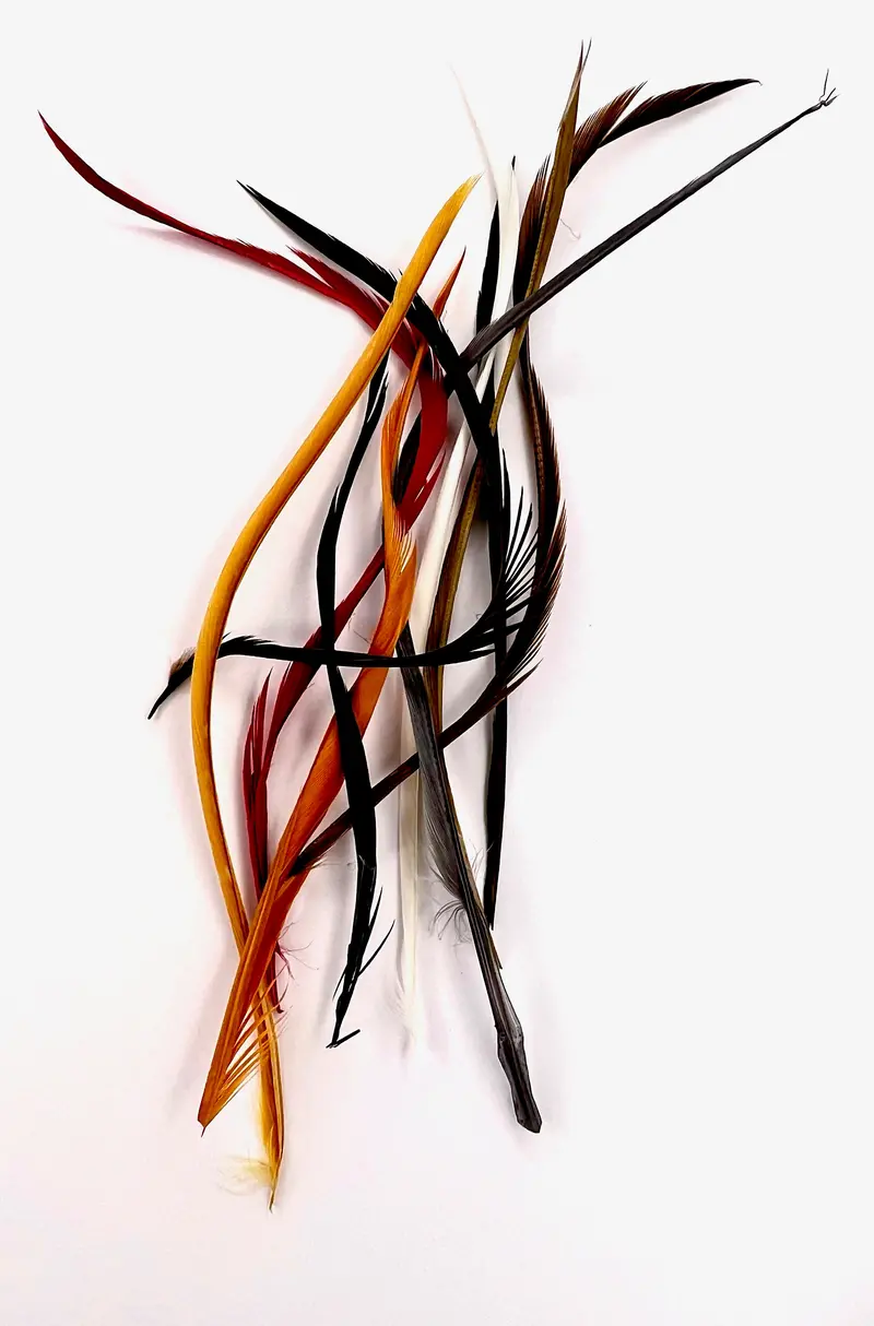 Stripped Goose Biot Quills – Fly Tying Ribbing & Accent Material