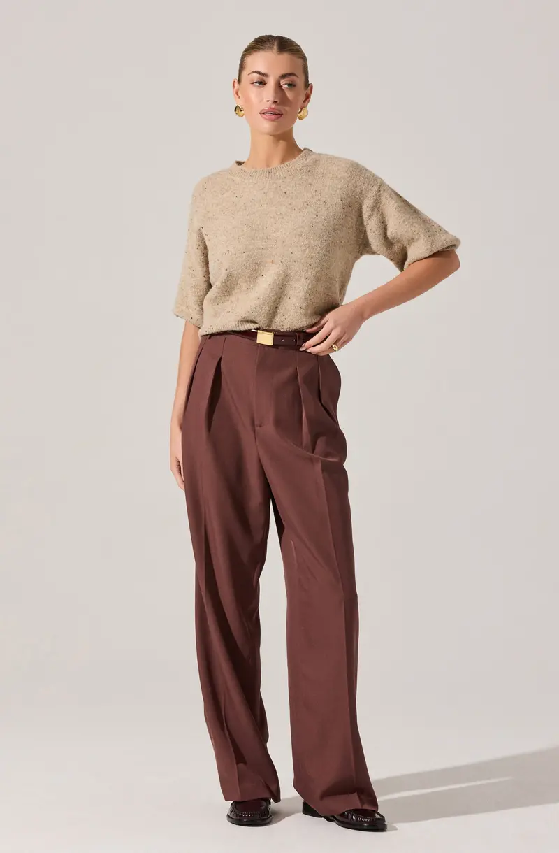 Tailored Pleated Pants in Faria Style