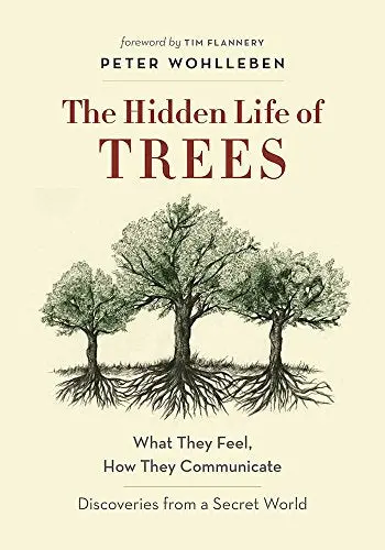 The Hidden Life of Trees: Exploring Forest Intelligence, Communication & Emotion