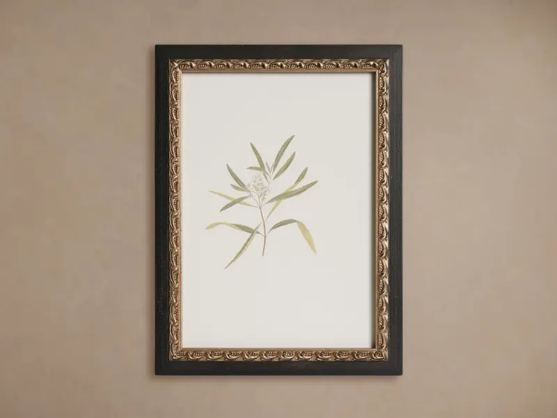 Thistle Botanical Art Print in Modern Frame
