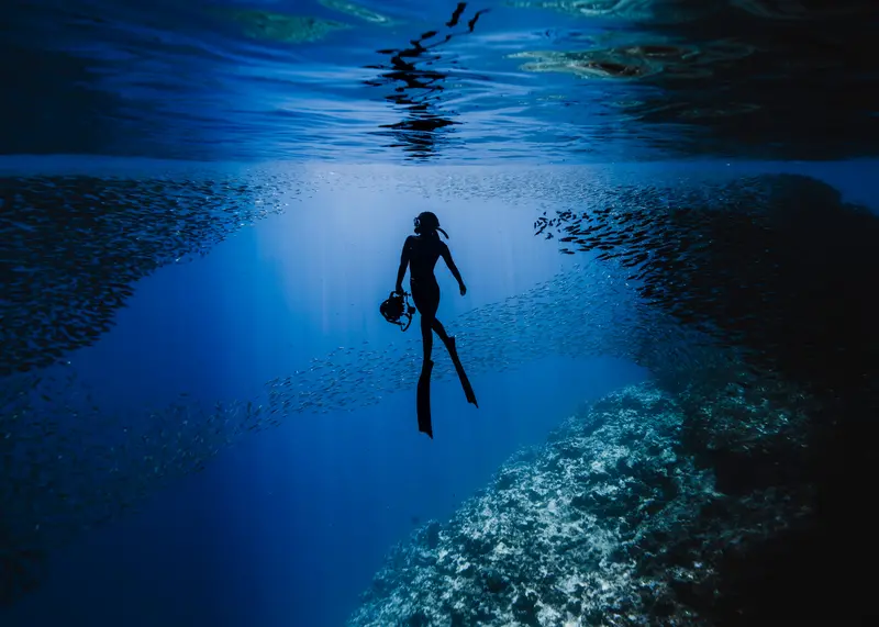 Tonga Coral Atoll Diving Expedition