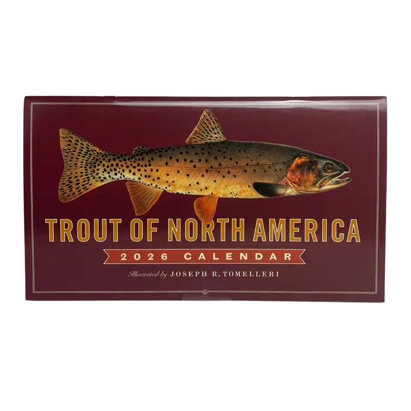 Trout of North America 2026 Wall Calendar – Wildlife Art Edition