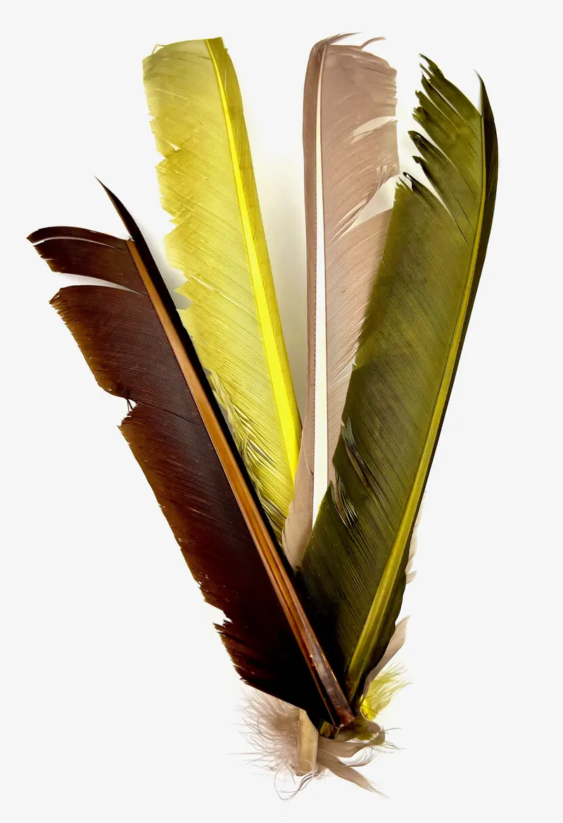 Turkey Biot Quill Strips for Tying