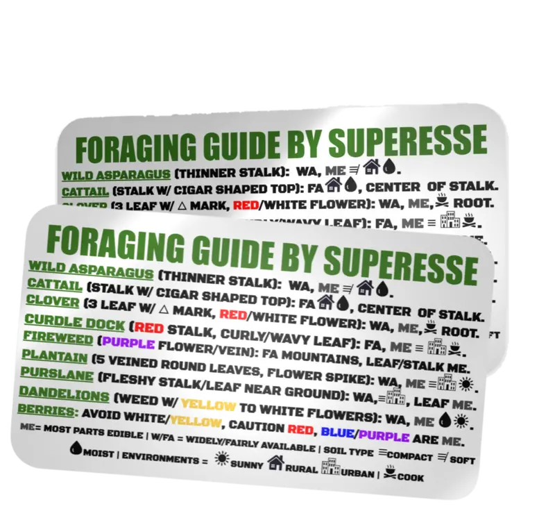 Wild Edibles Foraging Decal: Visual Plant Identification Reference for Safe Food Sourcing