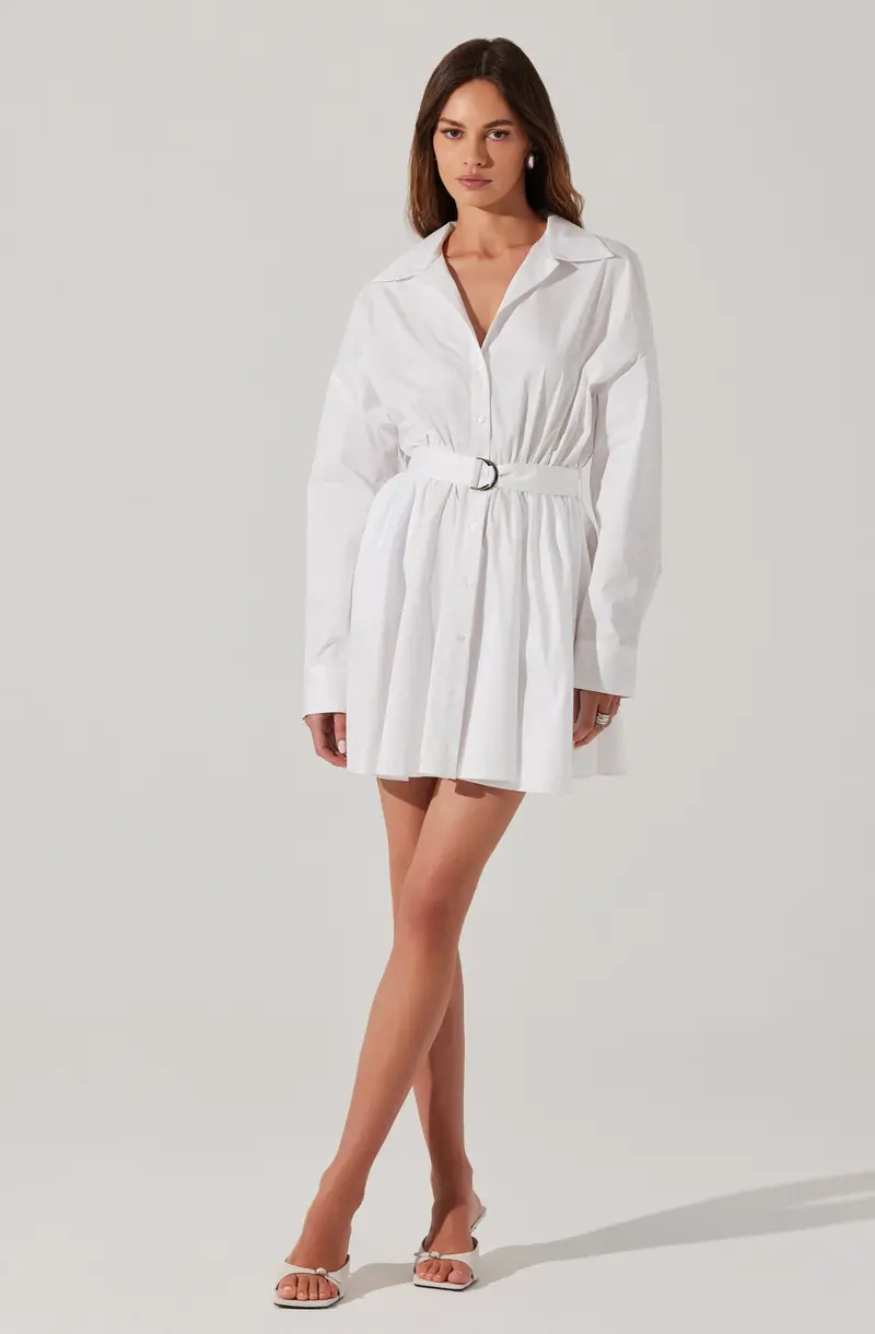 Winica Poplin Mini Dress Style